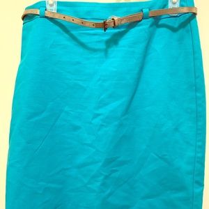 Teal Pencil Skirt (6)